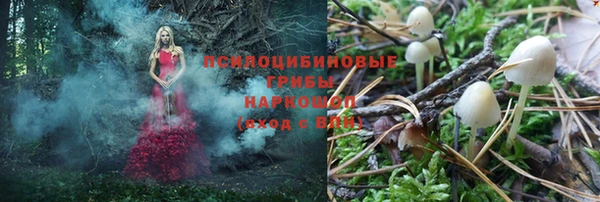 винт Горно-Алтайск