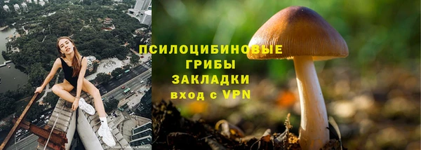 винт Горно-Алтайск